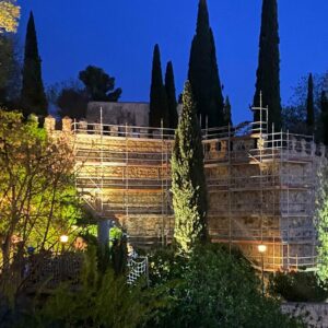 Esparvel pide frenar la restauración de la muralla de Toledo para proteger al vencejo común en el período de cría