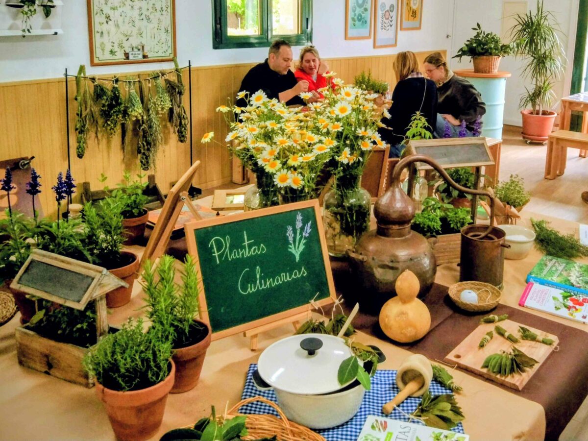 'Una mañana entre plantas': la Diputación de Toledo impulsa unas nuevas jornadas de educación ambiental en el Vivero Taxus
