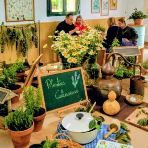 'Una mañana entre plantas': La Diputación de Toledo impulsará unas nuevas jornadas de educación ambiental en el Vivero Taxus