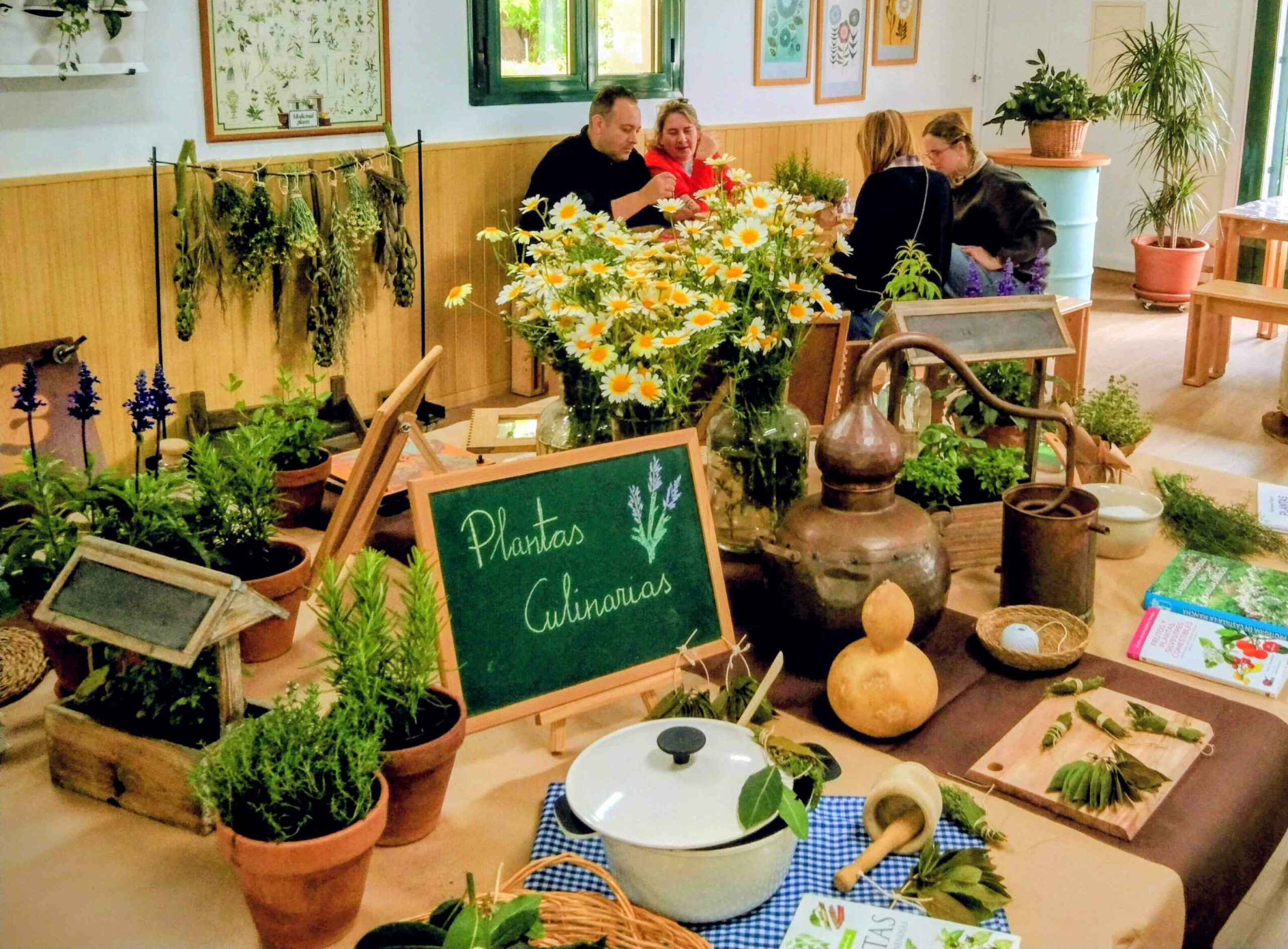 'Una mañana entre plantas': la Diputación de Toledo impulsa unas nuevas jornadas de educación ambiental en el Vivero Taxus
