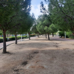 Vecinos de Valparaíso denuncian la desaparición de elementos de gimnasia del parque