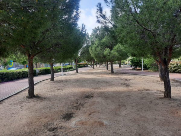 Vecinos de Valparaíso denuncian la desaparición de elementos de gimnasia del parque