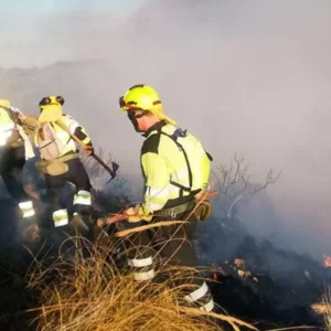 CCOO denuncia que "faltan" 140 bomberos forestales en la provincia de Toledo: "Es inviable continuar con este modelo"
