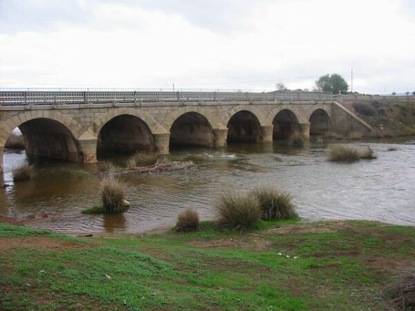La Mancomunidad de Aguas Río Algodor recuerda qué residuos no deben tirarse por el desagüe