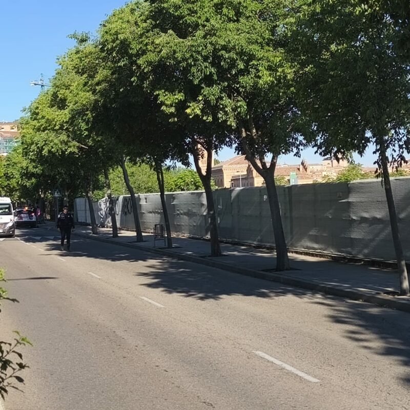 La Asociación Vecinal Alcántara exige medidas urgentes al Ayuntamiento tras el nuevo atropello en el Paseo de la Rosa