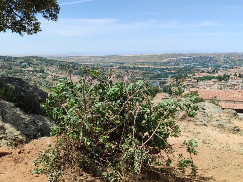 Las obras del Valle no se paralizarán: el Gobierno local defiende que "van a ser un éxito"