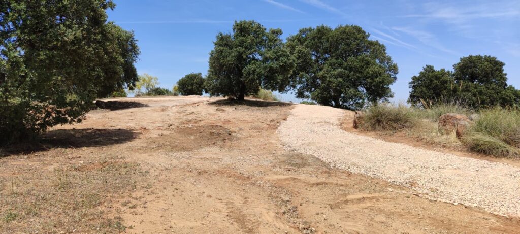 ARBA Toledo denuncia "destrozos" en las obras en el Valle, pide paralizarlas y convoca una concentración de protesta