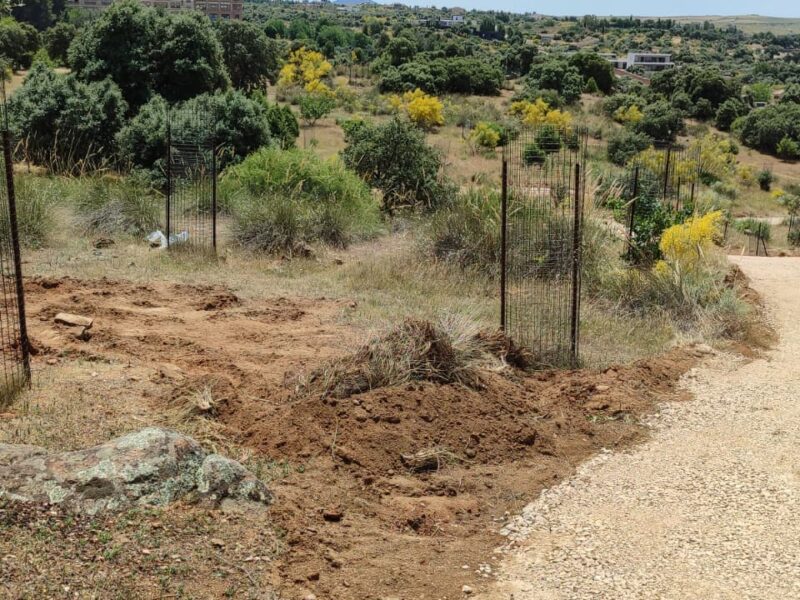 El PSOE y Movimiento Sumar reclaman paralizar las obras del Valle tras la denuncia de ARBA Toledo