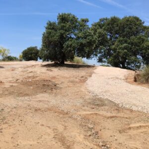 ARBA Toledo denuncia "destrozos" en las obras en el Valle, pide paralizarlas y convoca una concentración de protesta
