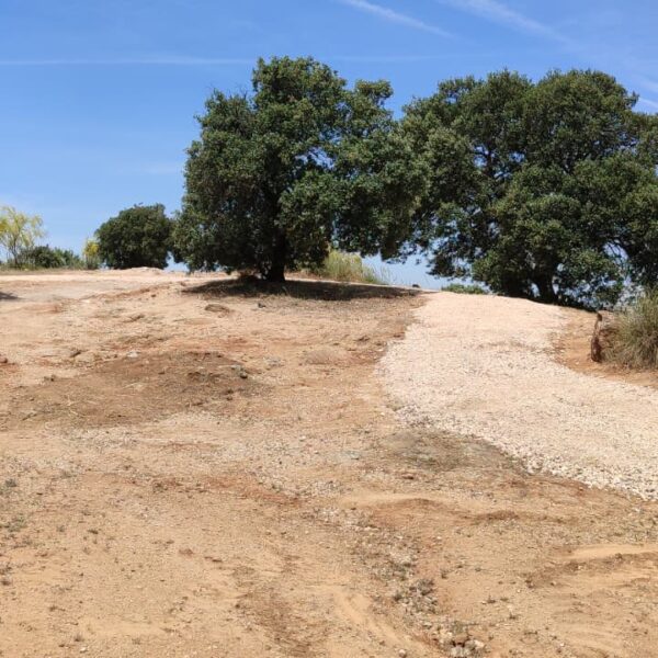 ARBA Toledo denuncia "destrozos" en las obras en el Valle, pide paralizarlas y convoca una concentración de protesta