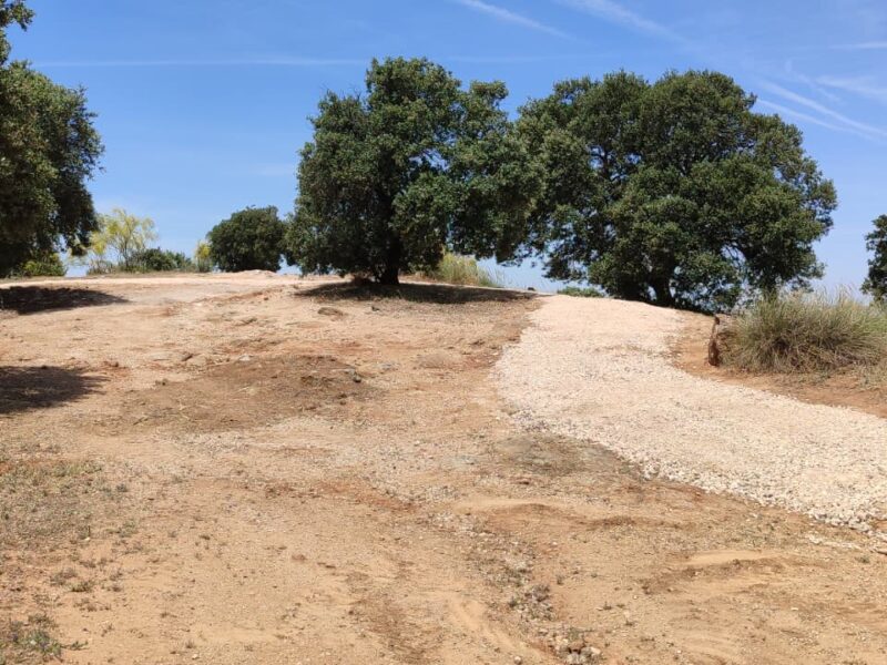 ARBA Toledo denuncia "destrozos" en las obras en el Valle, pide paralizarlas y convoca una concentración de protesta