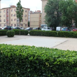 IU Toledo pide actuar en Santa Bárbara para asegurar espacios públicos seguros y accesibles