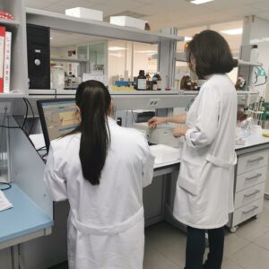 Abril cierra dejando a Toledo como la capital de provincia en la que más baja el paro