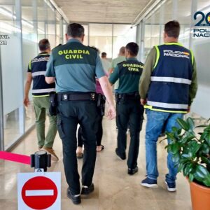 Cuatro detenidos por una oleada de más de 30 robos en comercios de Madrid y Toledo