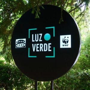 Los Premios Luz Verde, de WWF y Onda Cero, reconocen a las toledanas Red Alimenta y Red de Vencejos