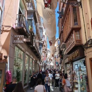 Las cámaras registran que solo un tercio de los turistas que llega a Zocodover pasa por Hombre de Palo
