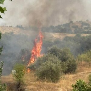 Dos conatos de incendio consecutivos movilizan a los bomberos junto a la piscina y el instituto de Santa Bárbara