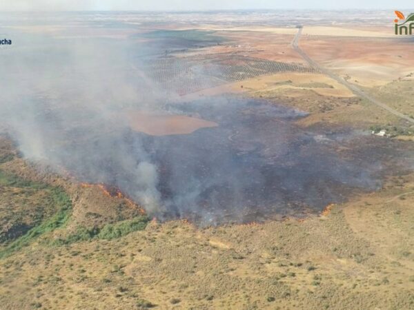 Se da por extinguido el incendio forestal en Mora
