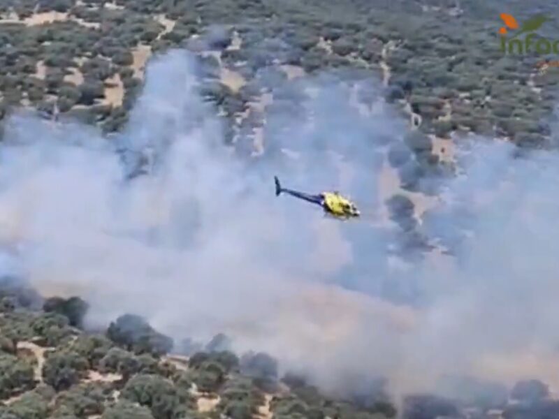 Un incendio forestal en Montesclaros activa a varios medios aéreos y terrestres