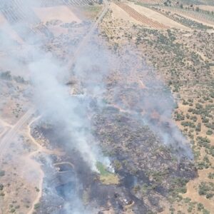Controlado un incendio forestal en Santa Ana de Pusa