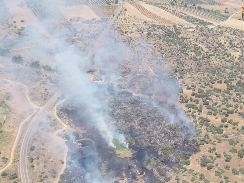 Controlado un incendio forestal en Santa Ana de Pusa