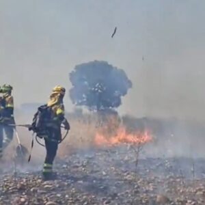 Medios aéreos y terrestres trabajan en un incendio forestal en Villarejo de Montalbán