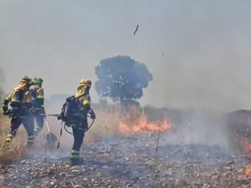Medios aéreos y terrestres trabajan en un incendio forestal en Villarejo de Montalbán