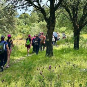 La Campana de Oropesa amplía su red de senderos hasta los 18 itinerarios con nueve rutas homologadas