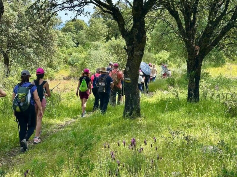La Campana de Oropesa amplía su red de senderos hasta los 18 itinerarios con nueve rutas homologadas