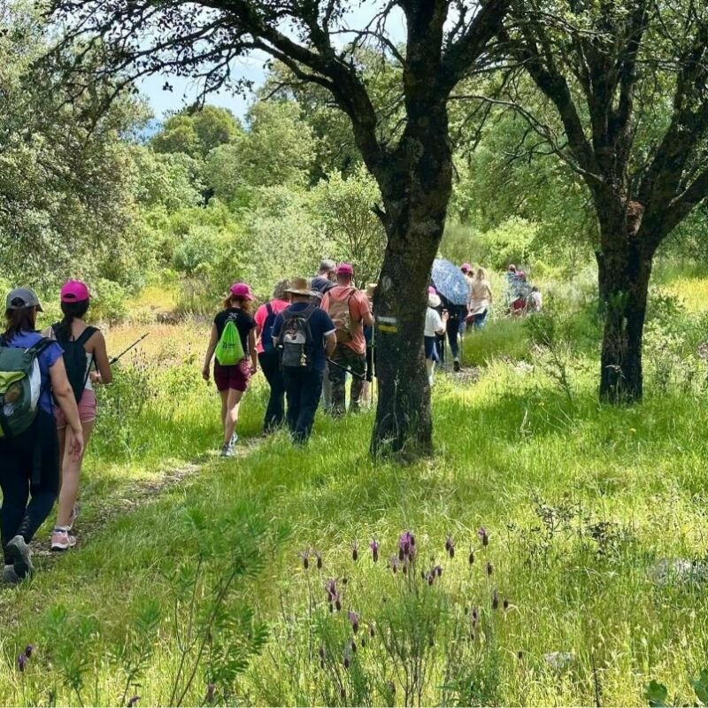 La Campana de Oropesa amplía su red de senderos hasta los 18 itinerarios con nueve rutas homologadas