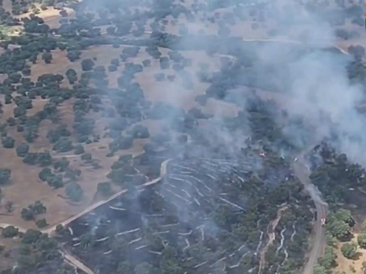 Se declara un incendio forestal en Méntrida que afecta a la carretera CM-530