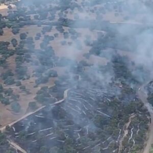Queda extinguido el incendio de Méntrida que llevó a limitar el paso de vehículos por la CM-530