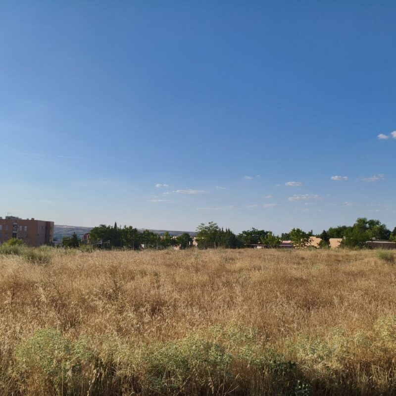 Las 316 viviendas de alquiler "asequible" del Polígono empezarán a construirse en septiembre