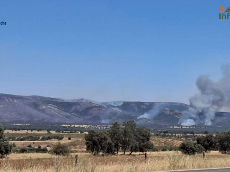 Confinan Marjaliza por el humo de un incendio forestal declarado en Retuerta del Bullaque