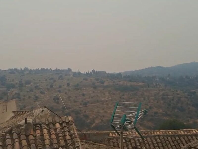 Los ganaderos de Toledo afectados por los incendios acceden a sus explotaciones con permisos especiales