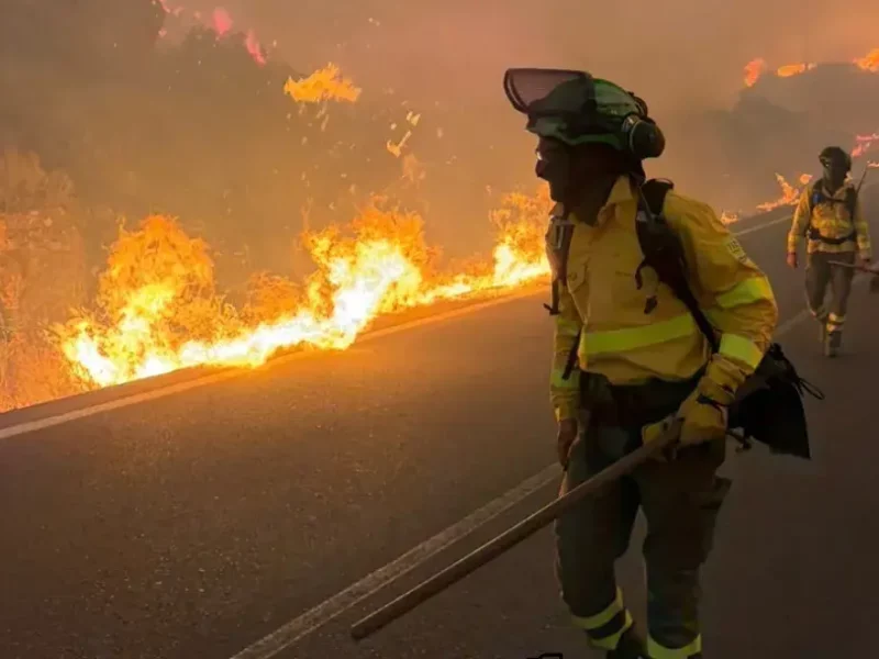 Distopías veraniegas 2. Ardemos