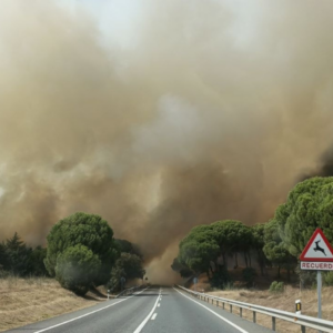 Un incendio en el pinar de Almorox obliga a evacuar toda la urbanización El Encinar del Alberche y a confinar El Romillo