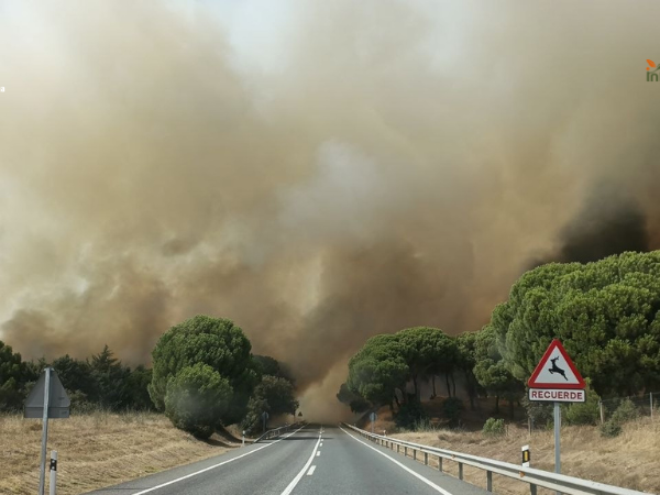 Un incendio en el pinar de Almorox obliga a evacuar toda la urbanización El Encinar del Alberche y a confinar El Romillo