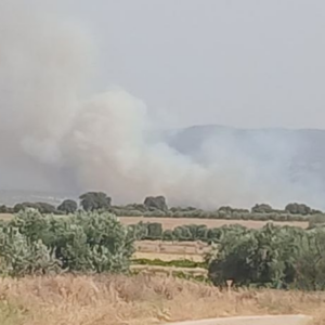 Declarado el Nivel 1 de emergencia en el incendio forestal de Mazarambroz por el riesgo de daños graves