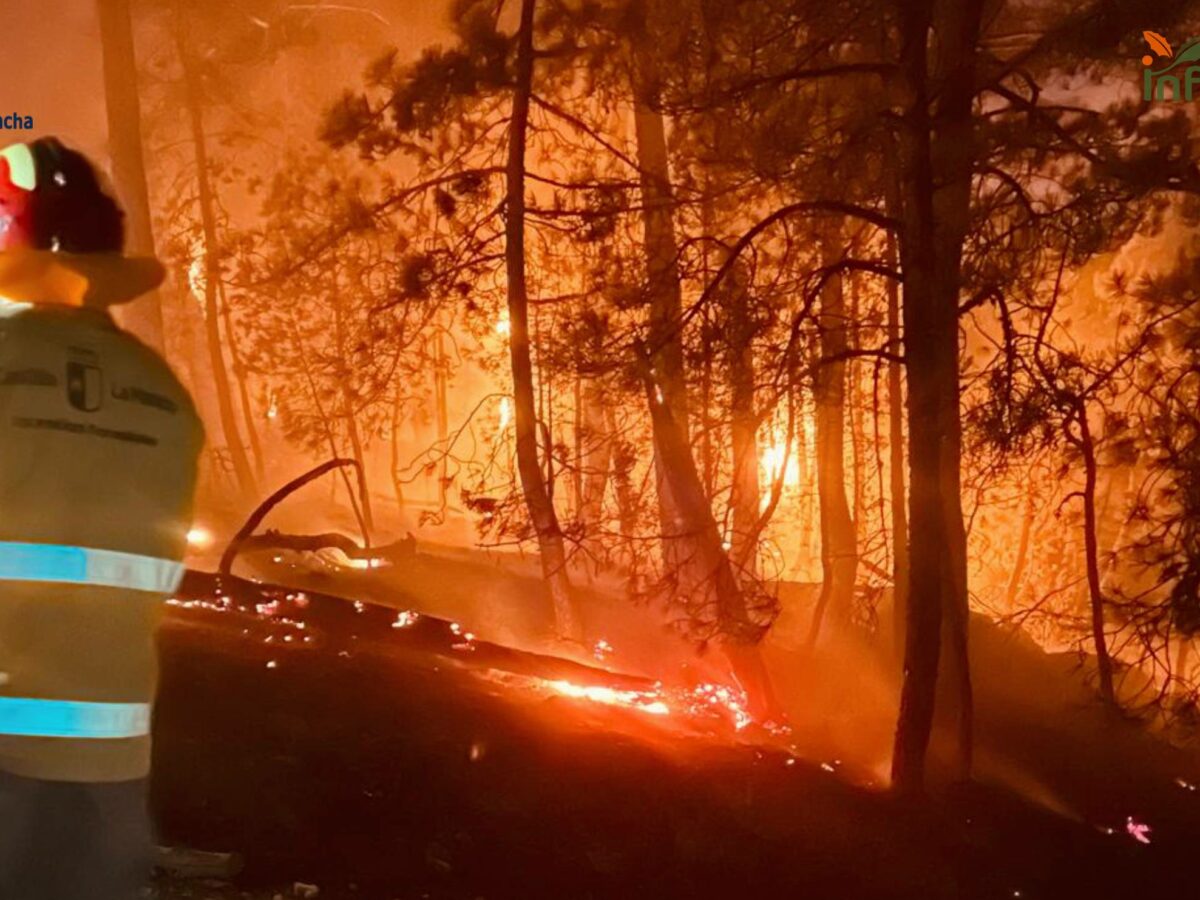 El incendio de Burgohondo, en Ávila, pone en alerta a la provincia de Toledo