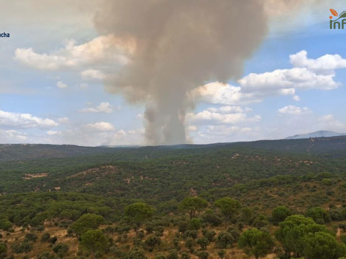 El incendio de Almorox obliga a evacuar dos urbanizaciones y se mantiene en Nivel 2
