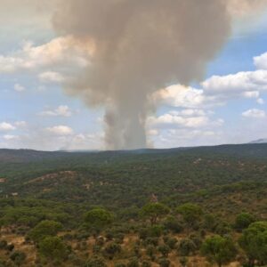 El incendio de Almorox obliga a evacuar dos urbanizaciones y se mantiene en Nivel 2