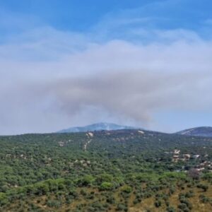 El frente toledano del incendio de Ávila, a punto de ser perimetrado mientras piden a la UME reforzar la zona de Almorox