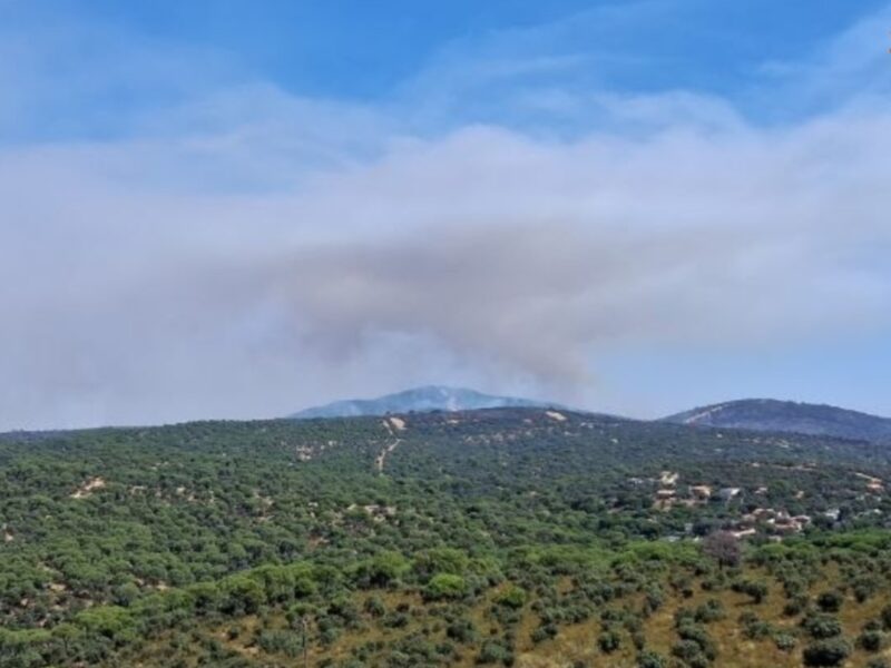 El frente toledano del incendio de Ávila, a punto de ser perimetrado mientras piden a la UME reforzar la zona de Almorox