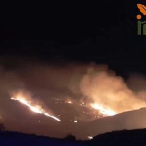 Un incendio forestal en Borox ya controlado obligó a confinar una urbanización de madrugada