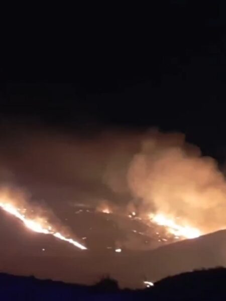 Extinguido el incendio forestal en Borox que obligó al confinamiento de una urbanización