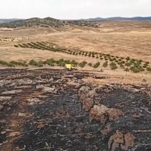 El incendio forestal de Urda baja a nivel 0 y se levanta el confinamiento a la residencia de mayores