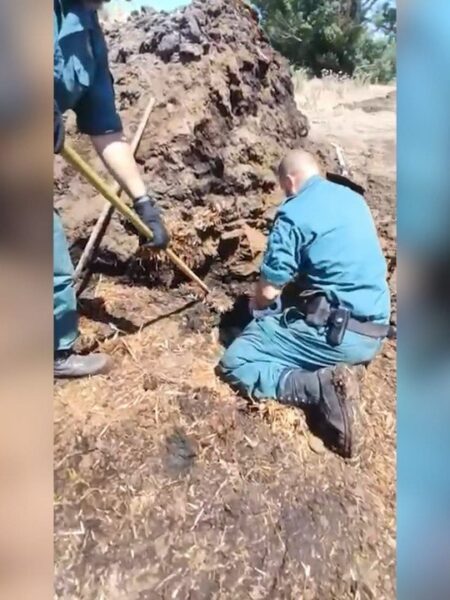 Detenido un hombre en La Sagra por matar presuntamente a tiros a cinco perros y enterrarlos bajo estiércol