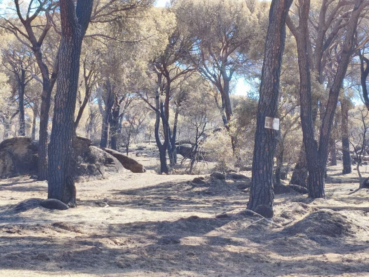 Se da por extinguido el incendio forestal de Almorox dos semanas después