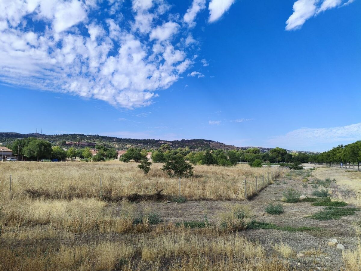 La parcela de Vega Baja que comparten EMSV y Junta: posible permuta, controversia contable y un verano sin desbrozar